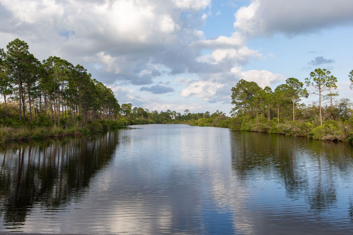 Big Lagoon State Park Pensacola, FL