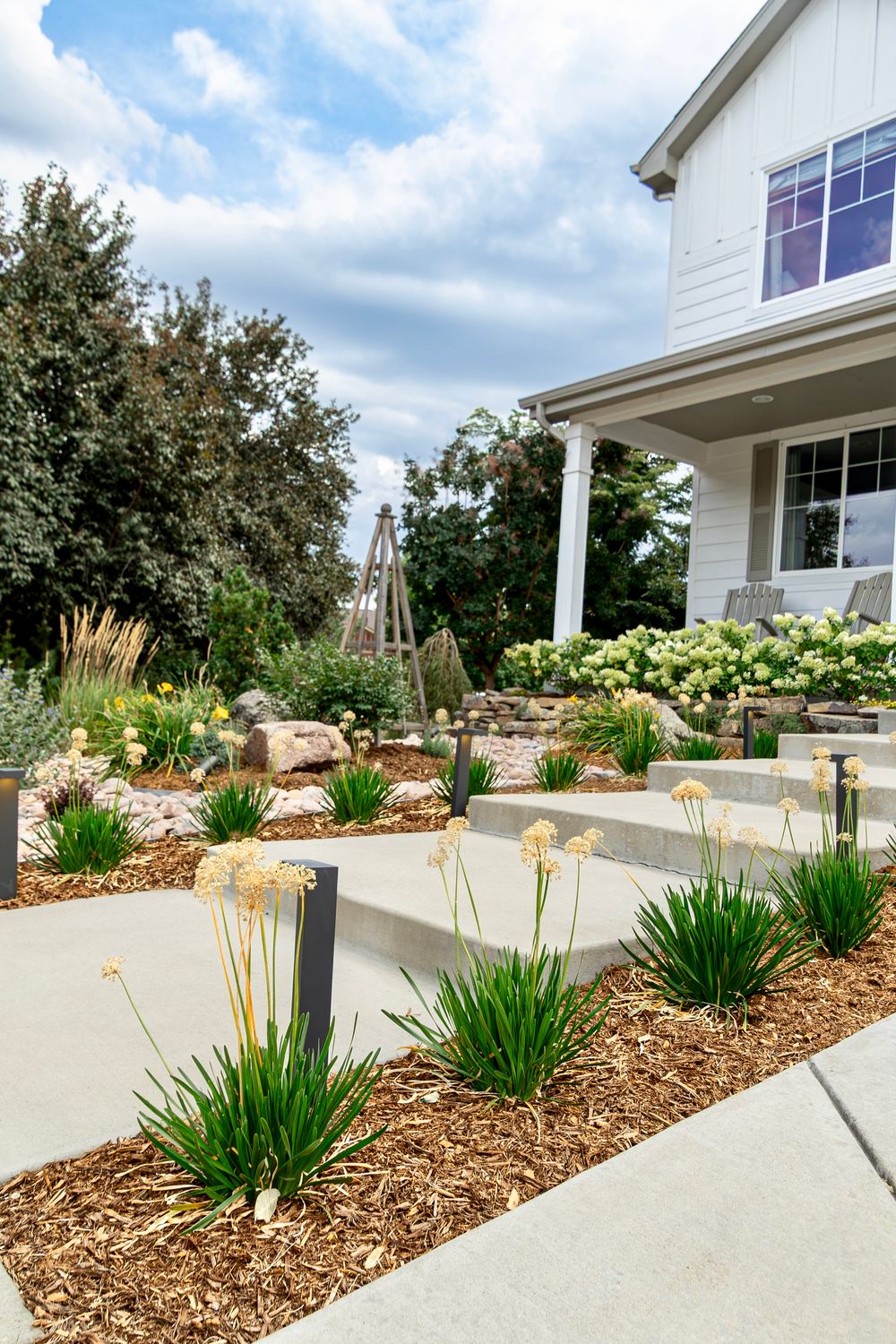 Modern farmhouse front yard with drought-tolerant landscaping, mulch beds, ornamental grasses, and hydrangeas along concrete path.