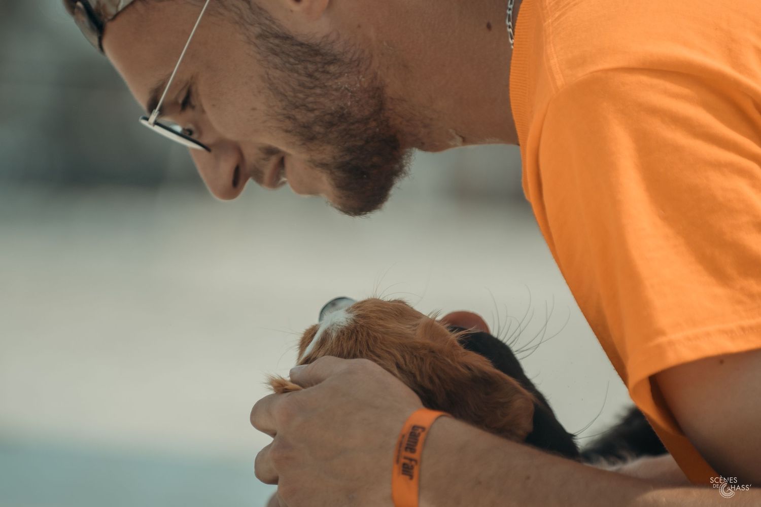 Démonstration canine.
Photos réalisées par Scènes de Chass'