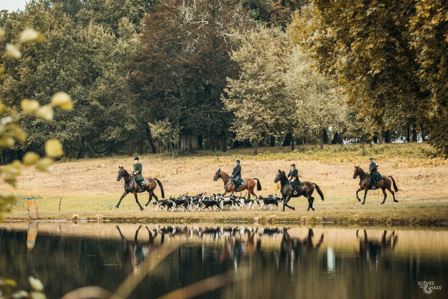 Démonstration équipage de chasse à courre lors du salon de la chasse à Sauternes,
Photos réalisées par Scènes de Chass'