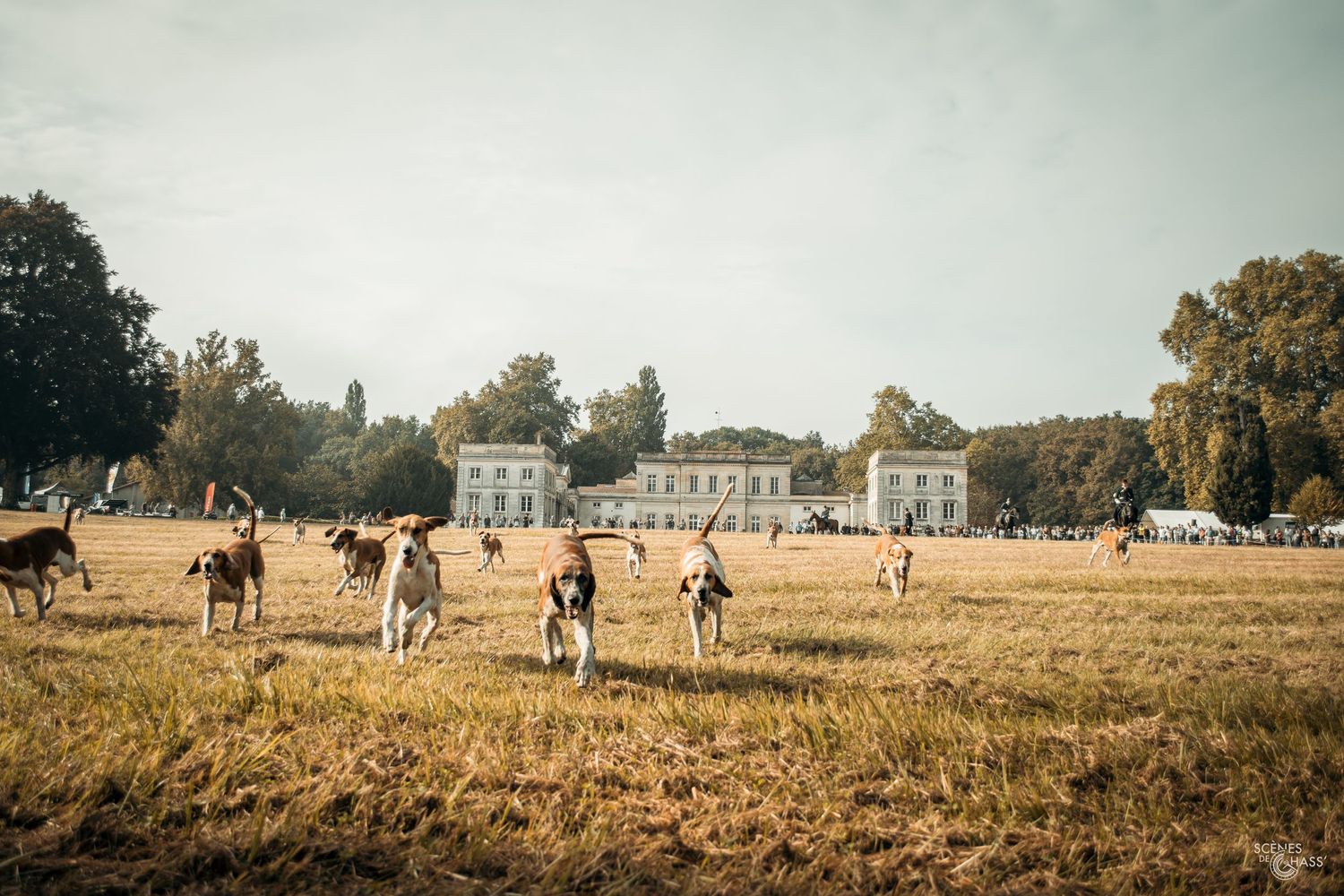 Démonstration équipage de chasse à courre lors du salon de la chasse à Sauternes,
Photos réalisées par Scènes de Chass'