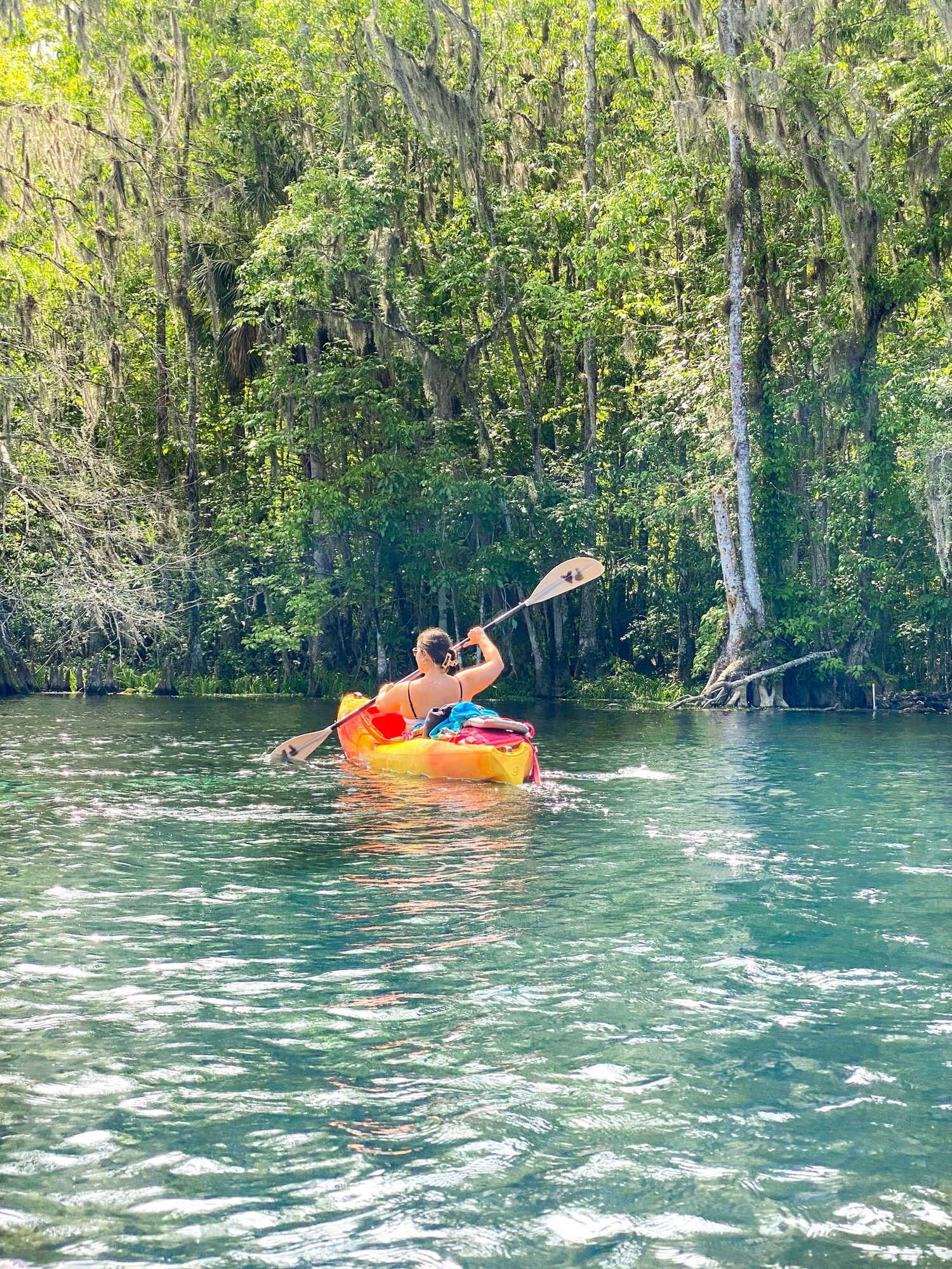 Person tubing in crystal clear blue water surrounded by cypress trees.