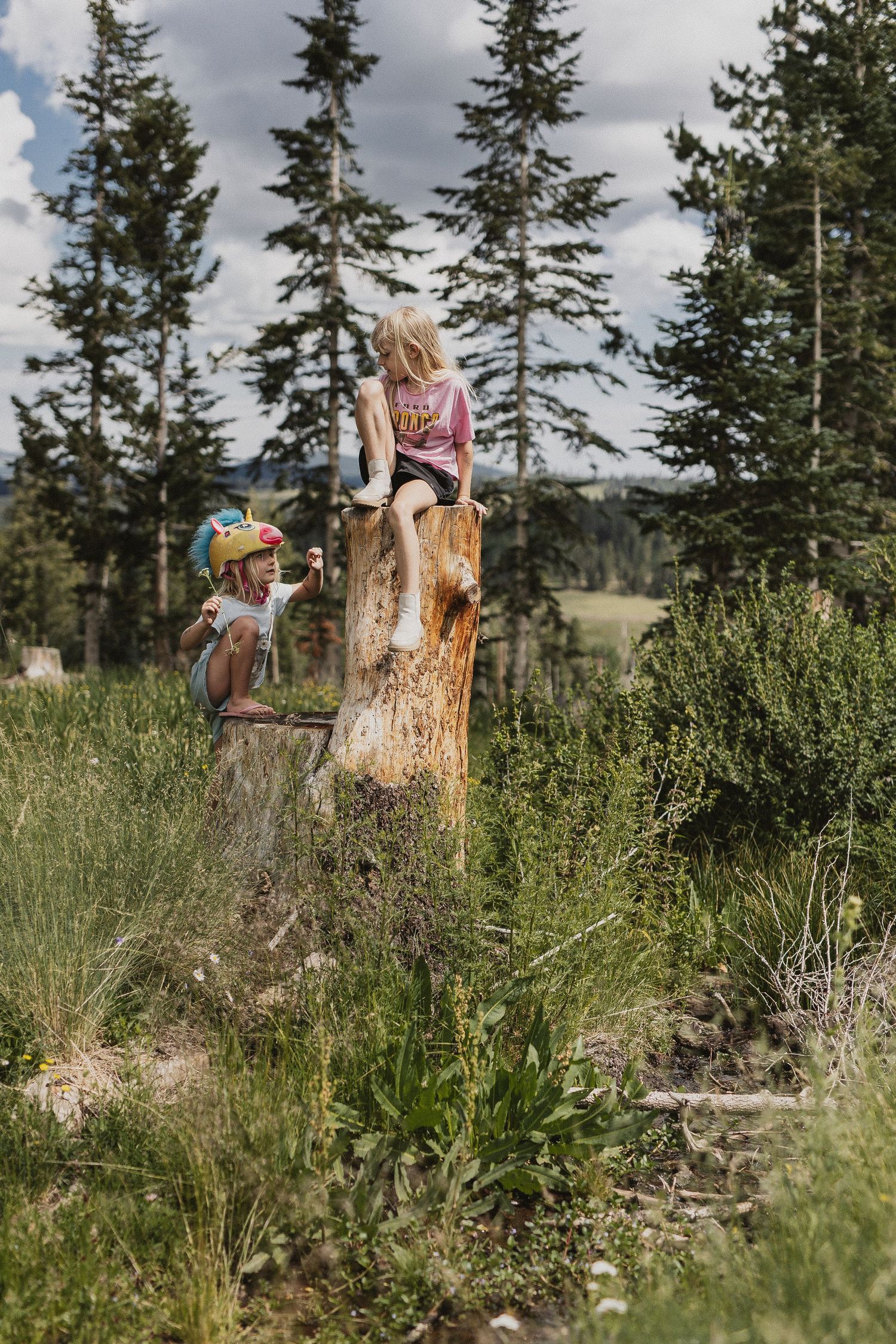 Children climbing on a large tree stump surrounded by evergreen trees and mountain scenery.