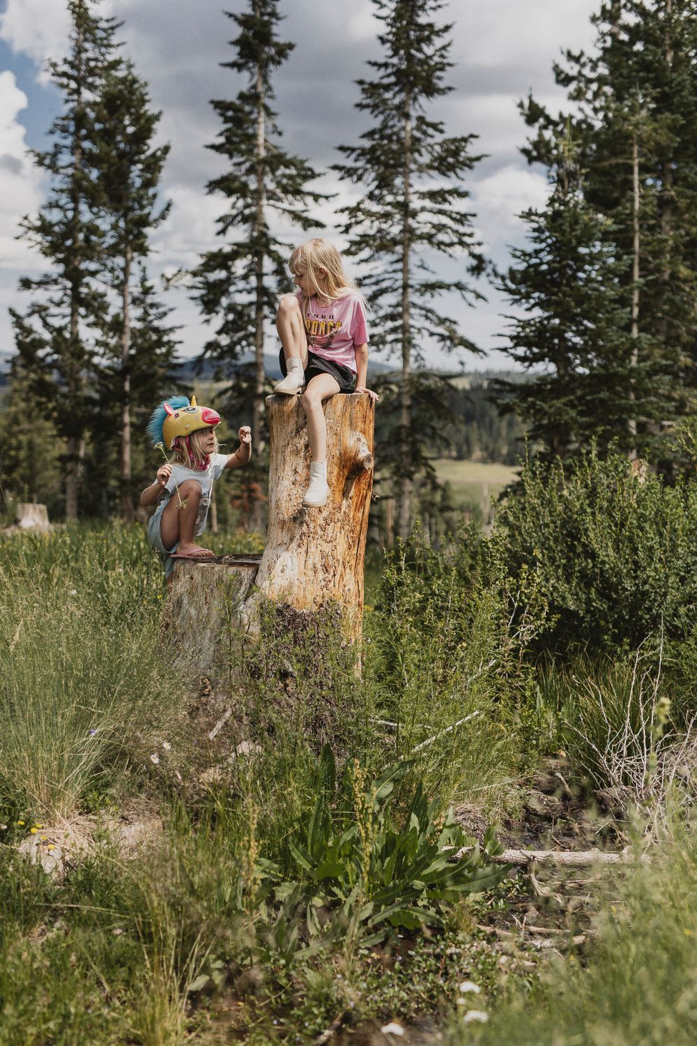 Children climbing on a large tree stump surrounded by evergreen trees and mountain scenery.