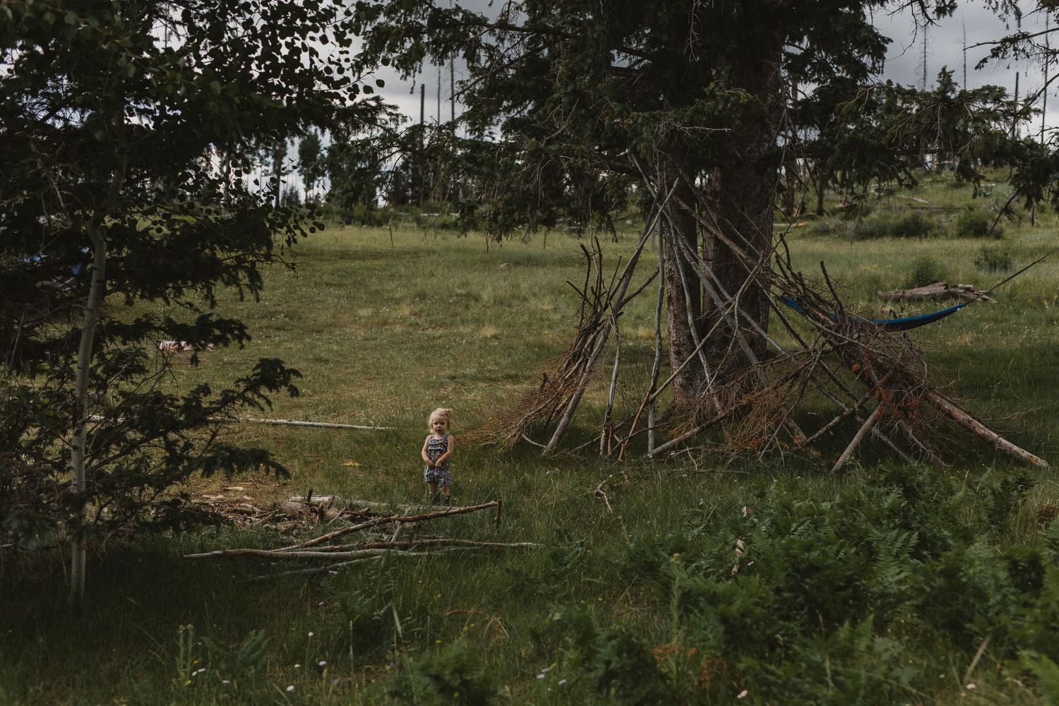 Rustic wooden fort structure made of branches and logs in a natural woodland setting.