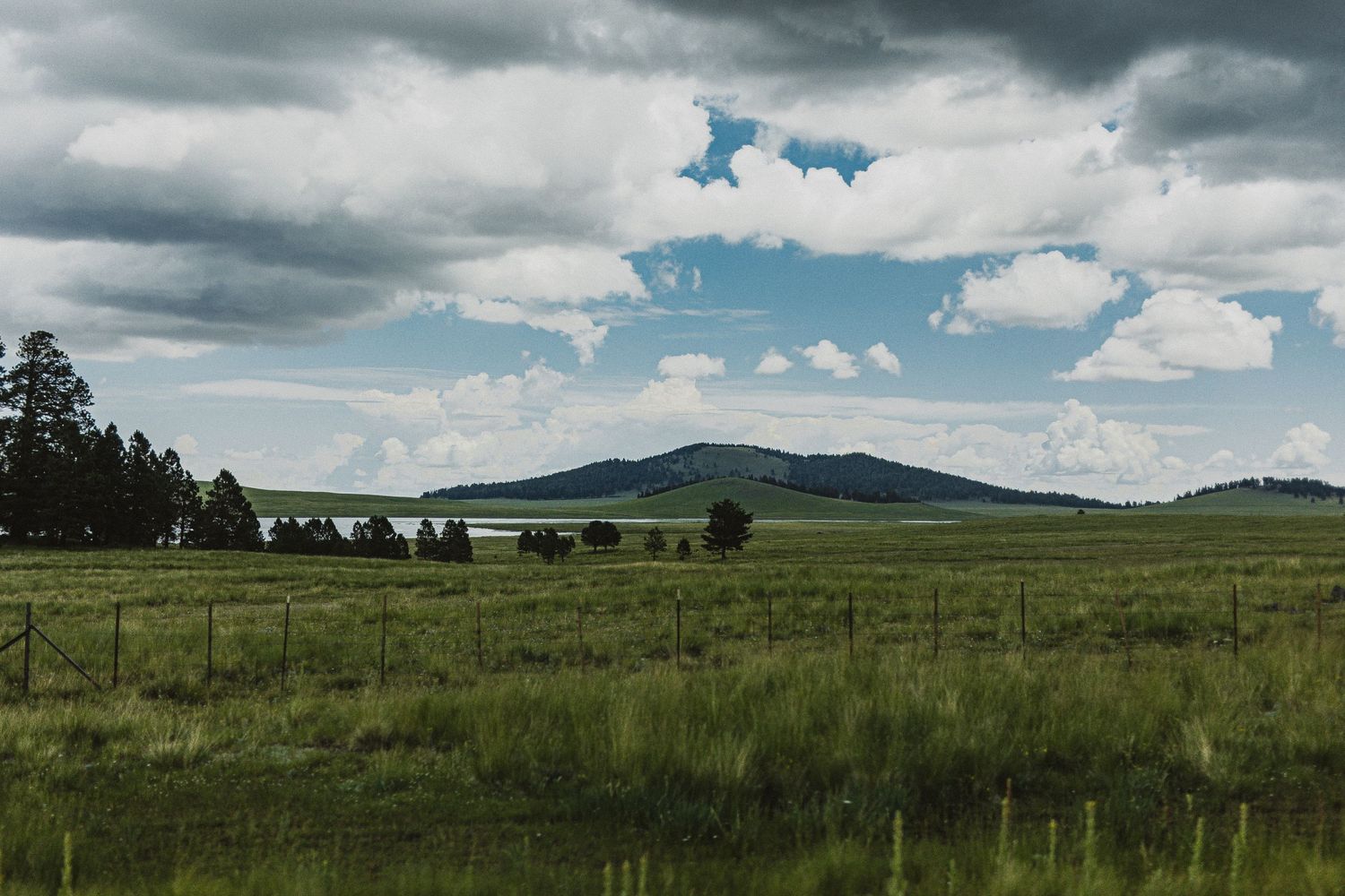 Dramatic cloudy sky over green rolling hills and mountains with pine trees in foreground.