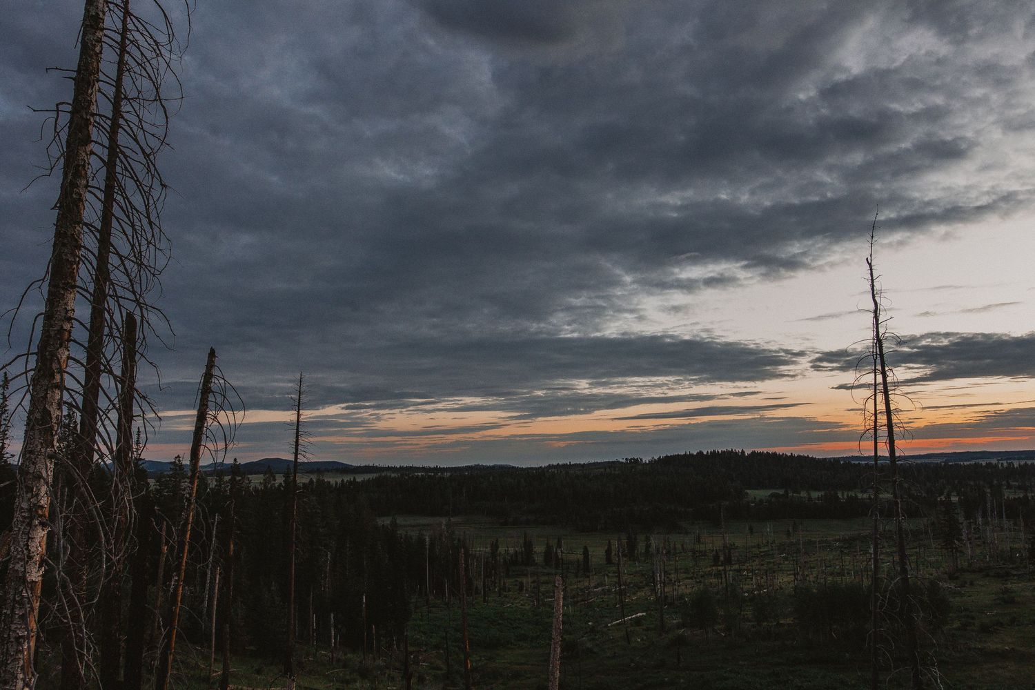 Dramatic stormy sunset sky over forest landscape with bare dead trees silhouetted against dark clouds.