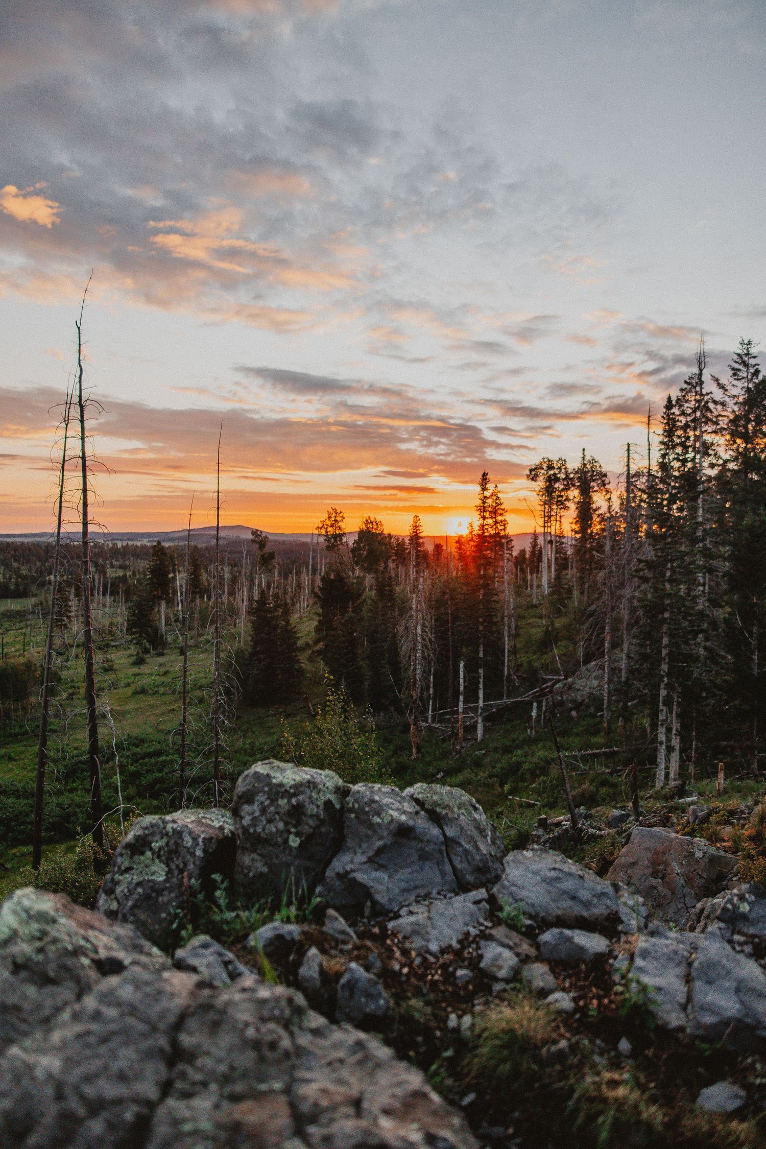 Vibrant orange sunset behind rocky mountain terrain with scattered pine trees.