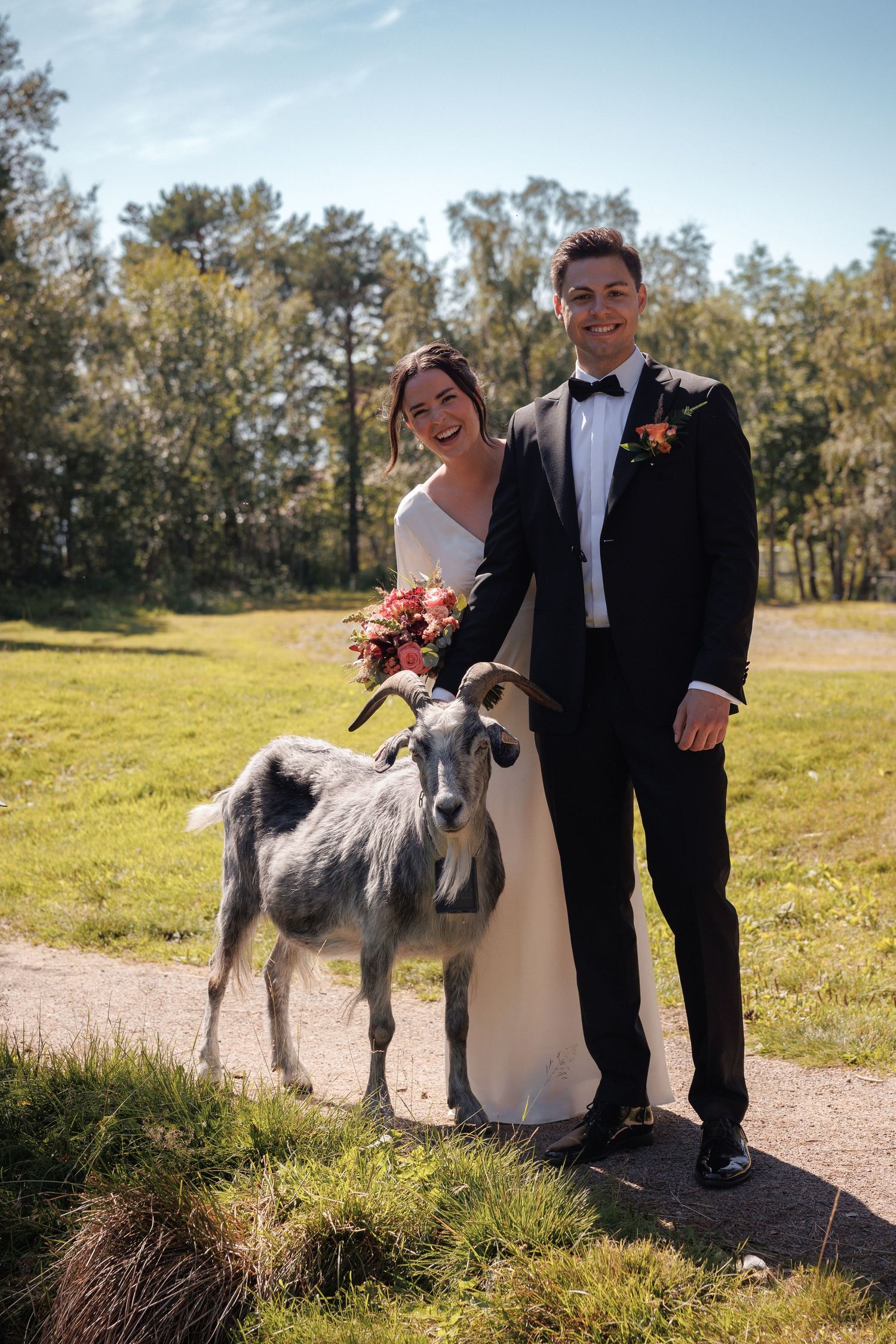 A wedding couple poses with a friendly goat on a sunny path surrounded by trees.