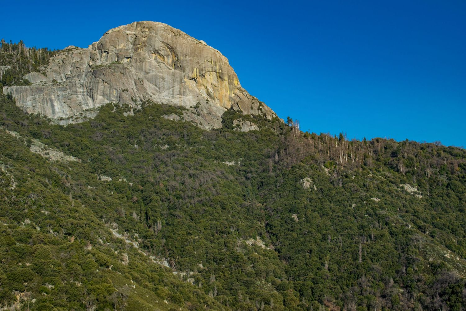 Massive granite cliff face rising above forested mountainside under clear blue skies.