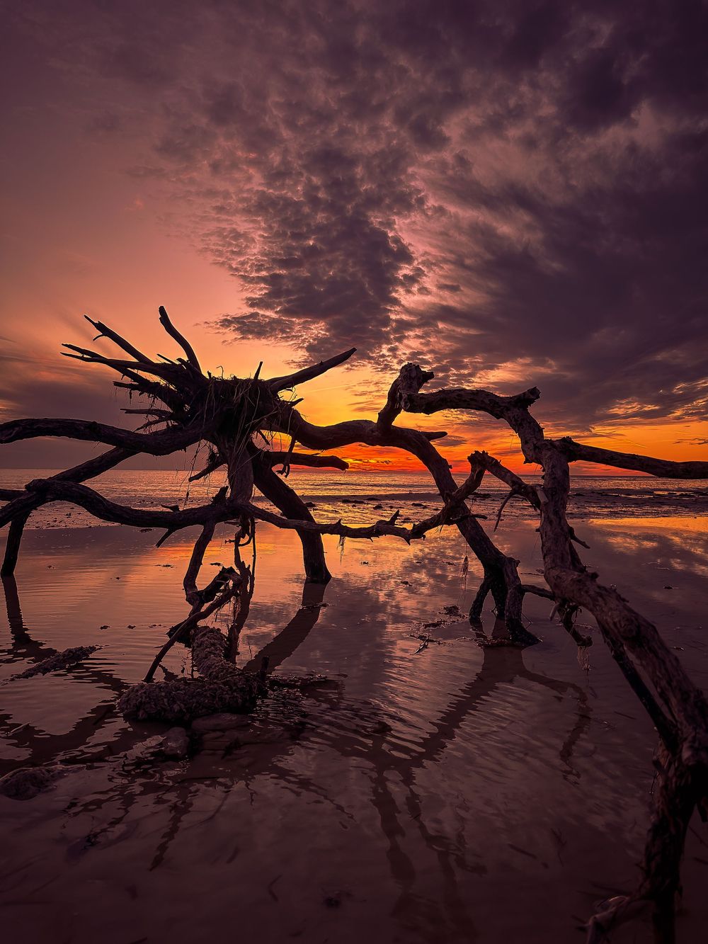Silhouetted driftwood branches reflected in wet beach sand during a vivid purple and orange sunset.