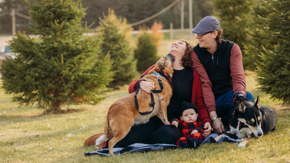 Family sitting with their dog among Christmas trees on a winter afternoon.