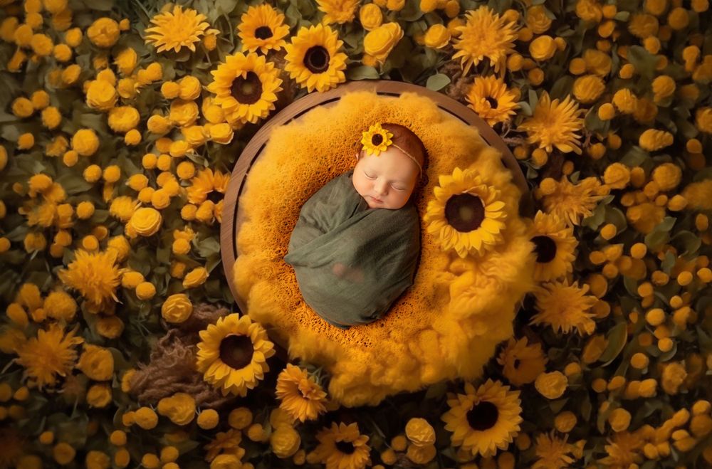 Newborn baby wrapped in green nestled in yellow prop surrounded by sunflowers.