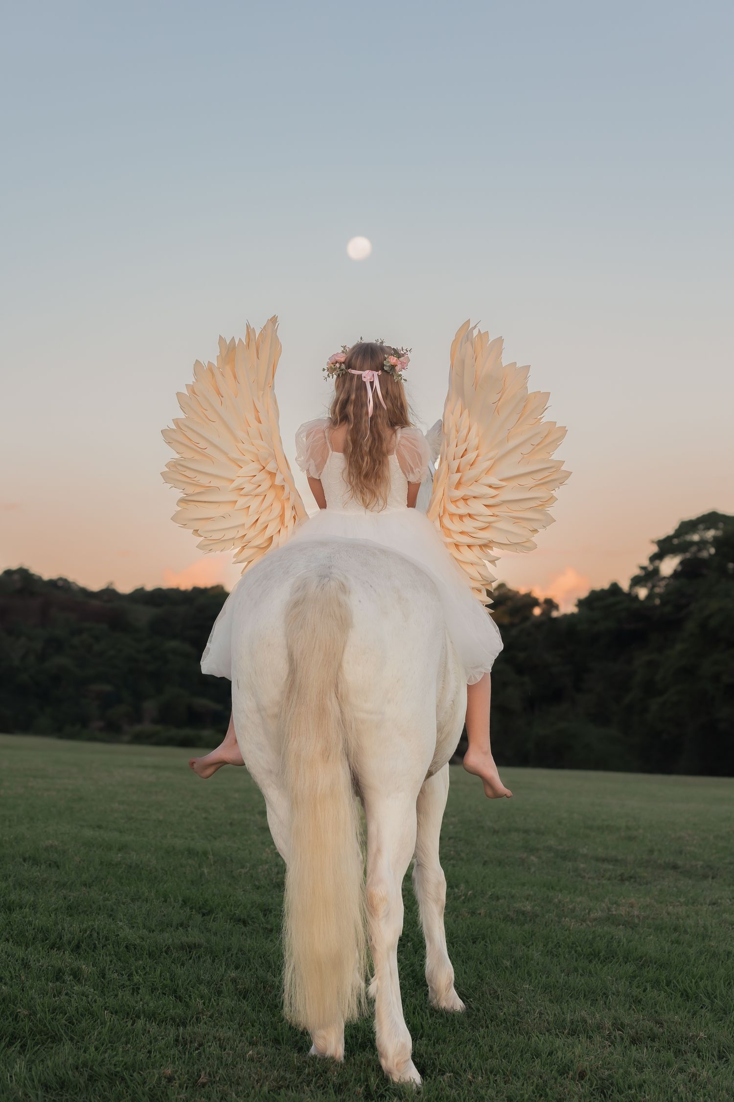 Ethereal photo of a white horse with angel wings standing in a grassy field at sunset.