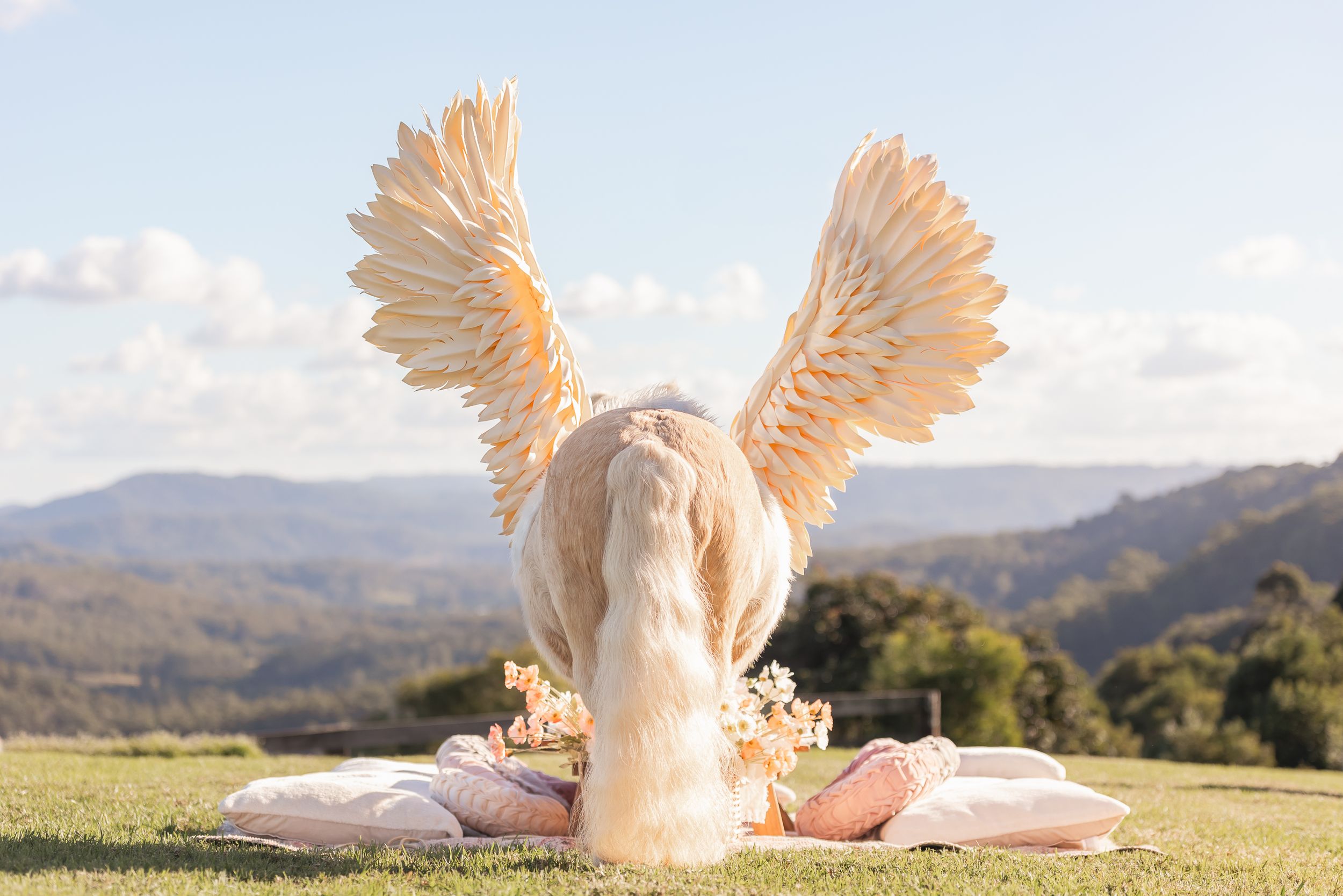 Angel wings spread wide against a mountain landscape at sunset.