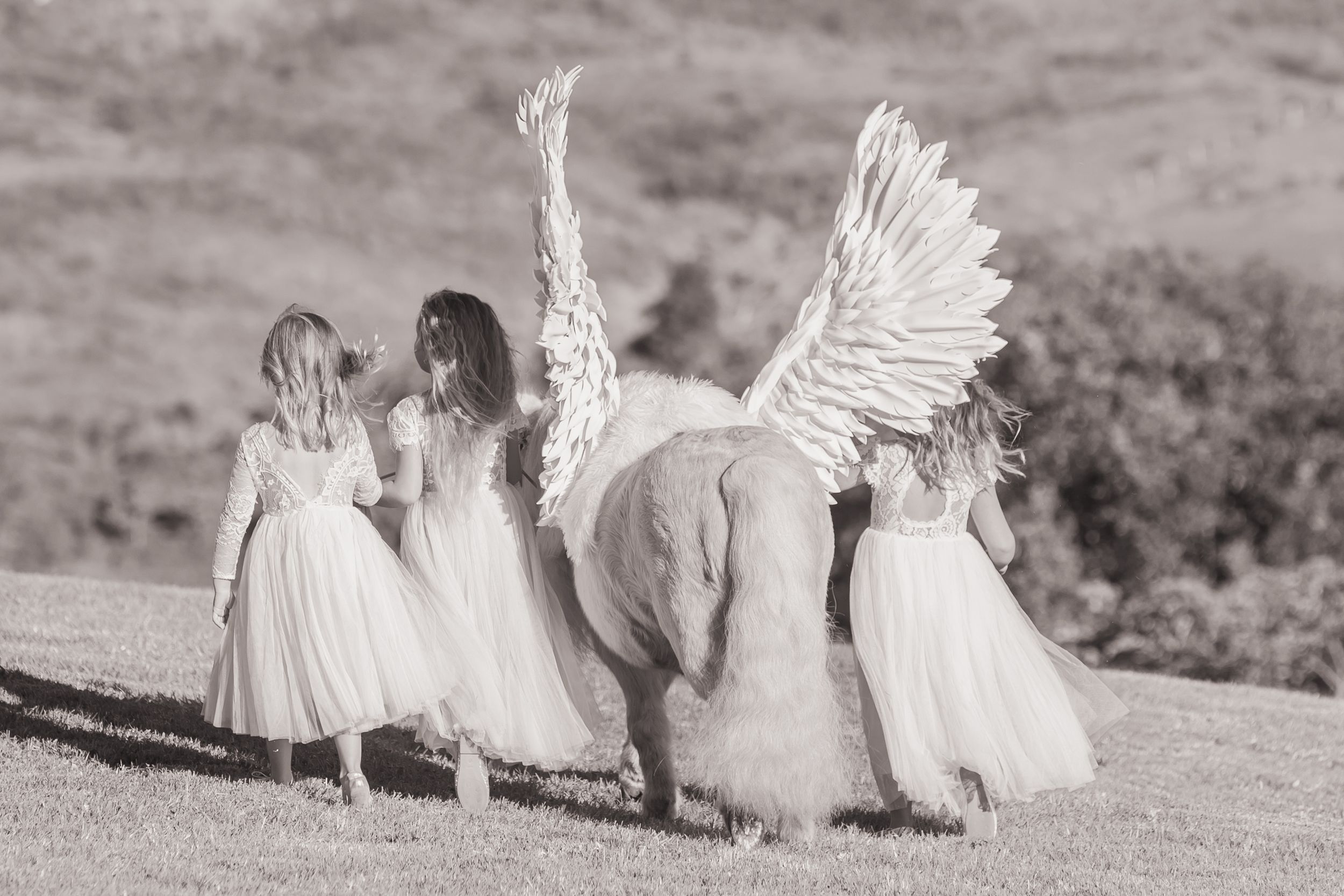 Black and white image of angel wings and flowing dresses in a natural setting.