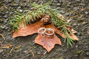 Two wedding rings resting on an autumn maple leaf with pine branch and pinecone on stone surface.