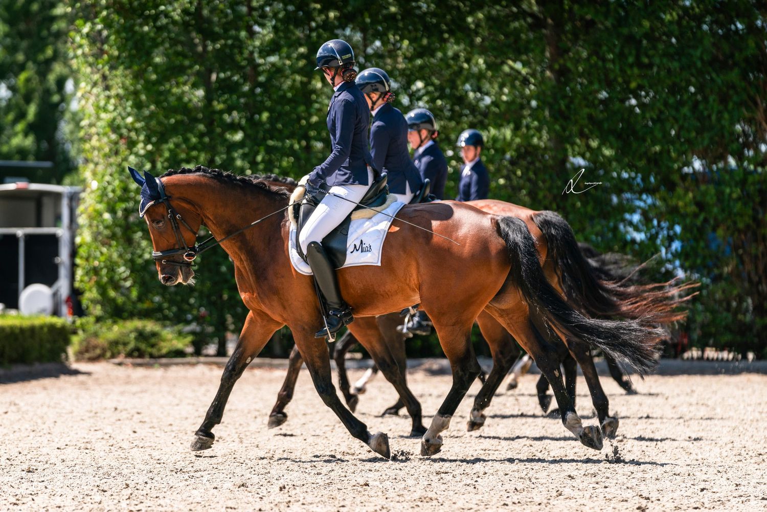 Professional equestrians riding chestnut horses in an outdoor dressage competition.