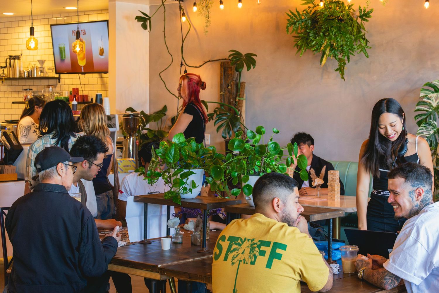 Patrons enjoy a casual dining experience in a cozy cafe decorated with hanging plants and warm lighting.