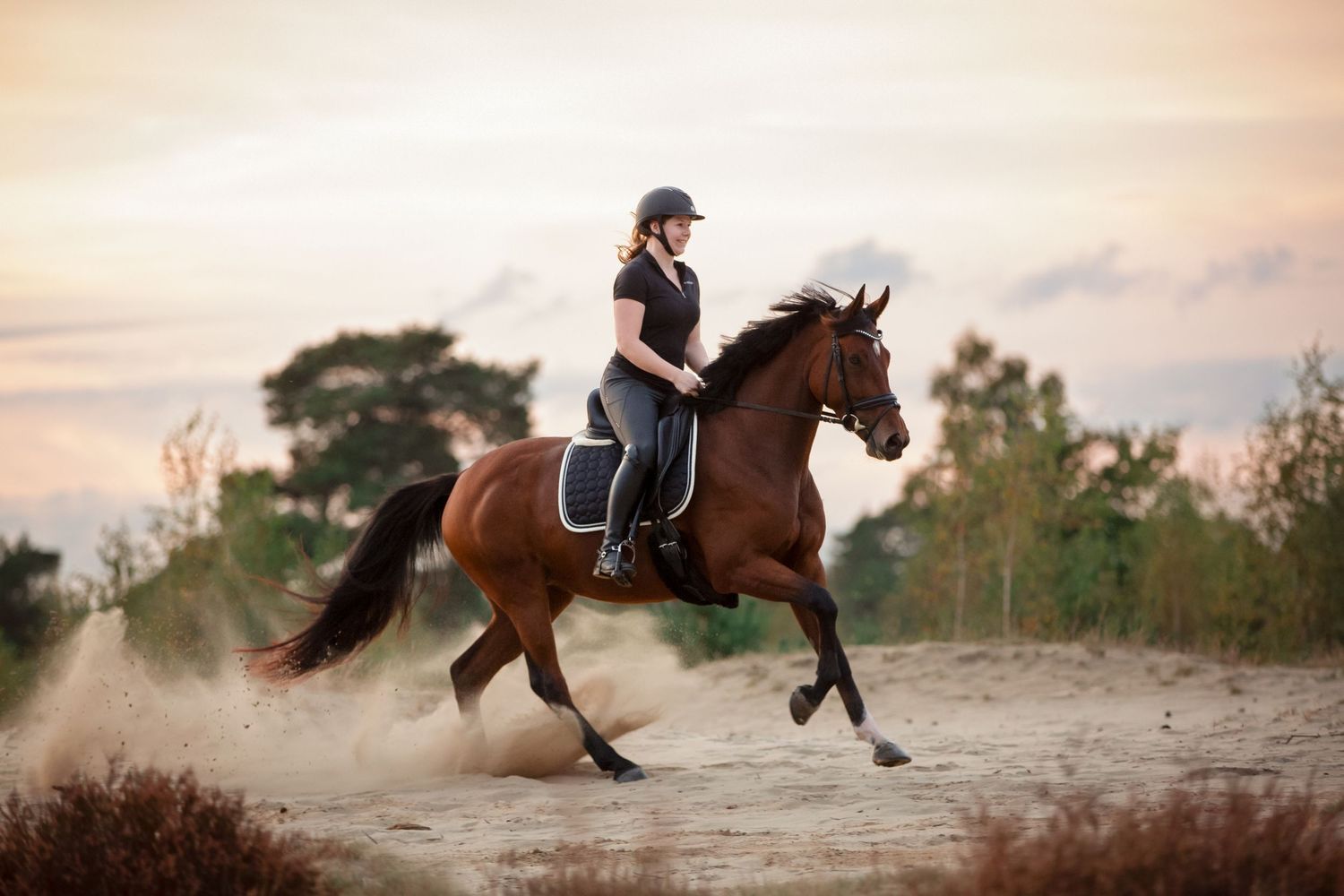 Action shots of horse and rider galloping through a dusty arena at sunset.