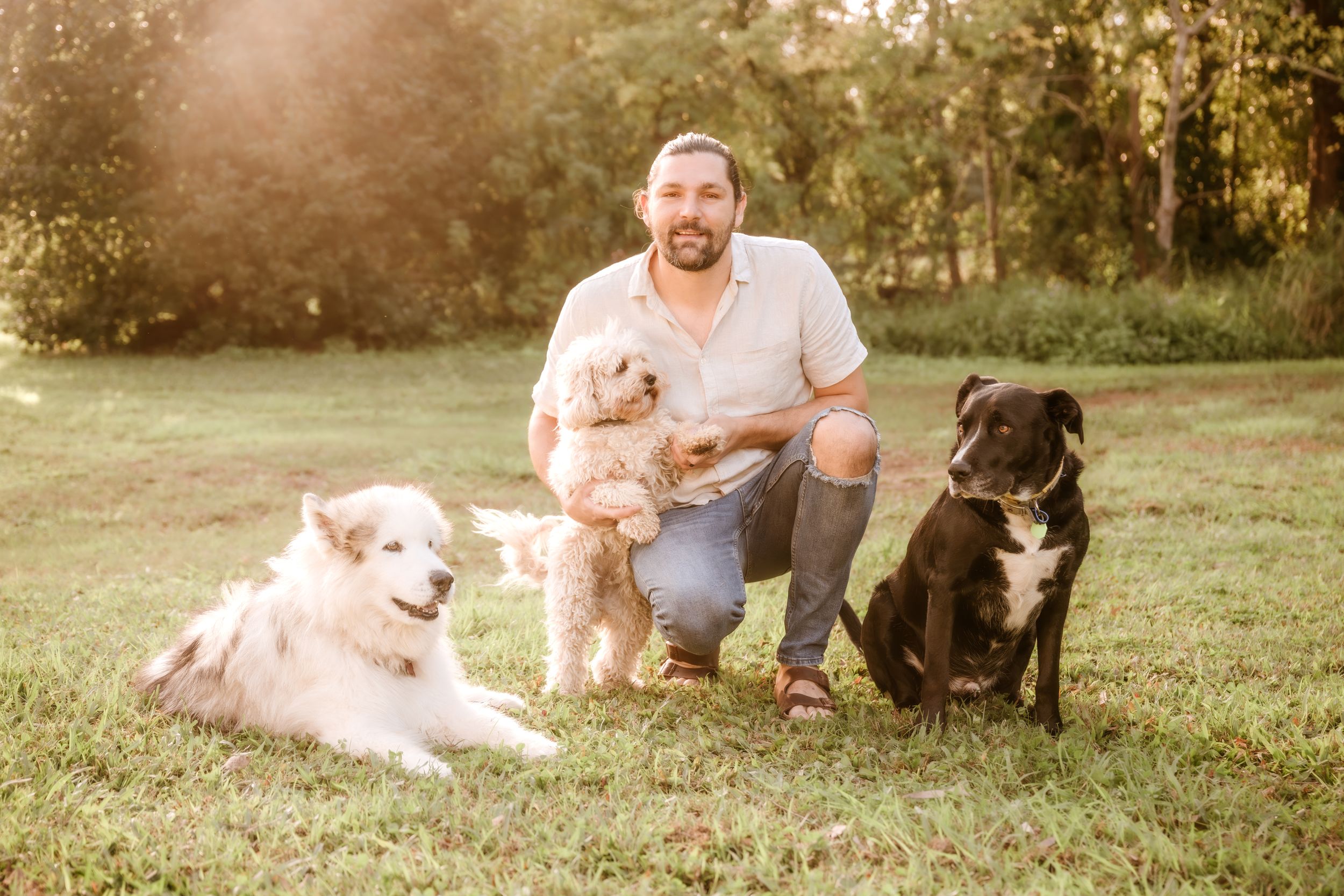 Man kneeling on grass with three dogs, including a white fluffy dog, small tan dog, and black Staffy, in a sunny park.