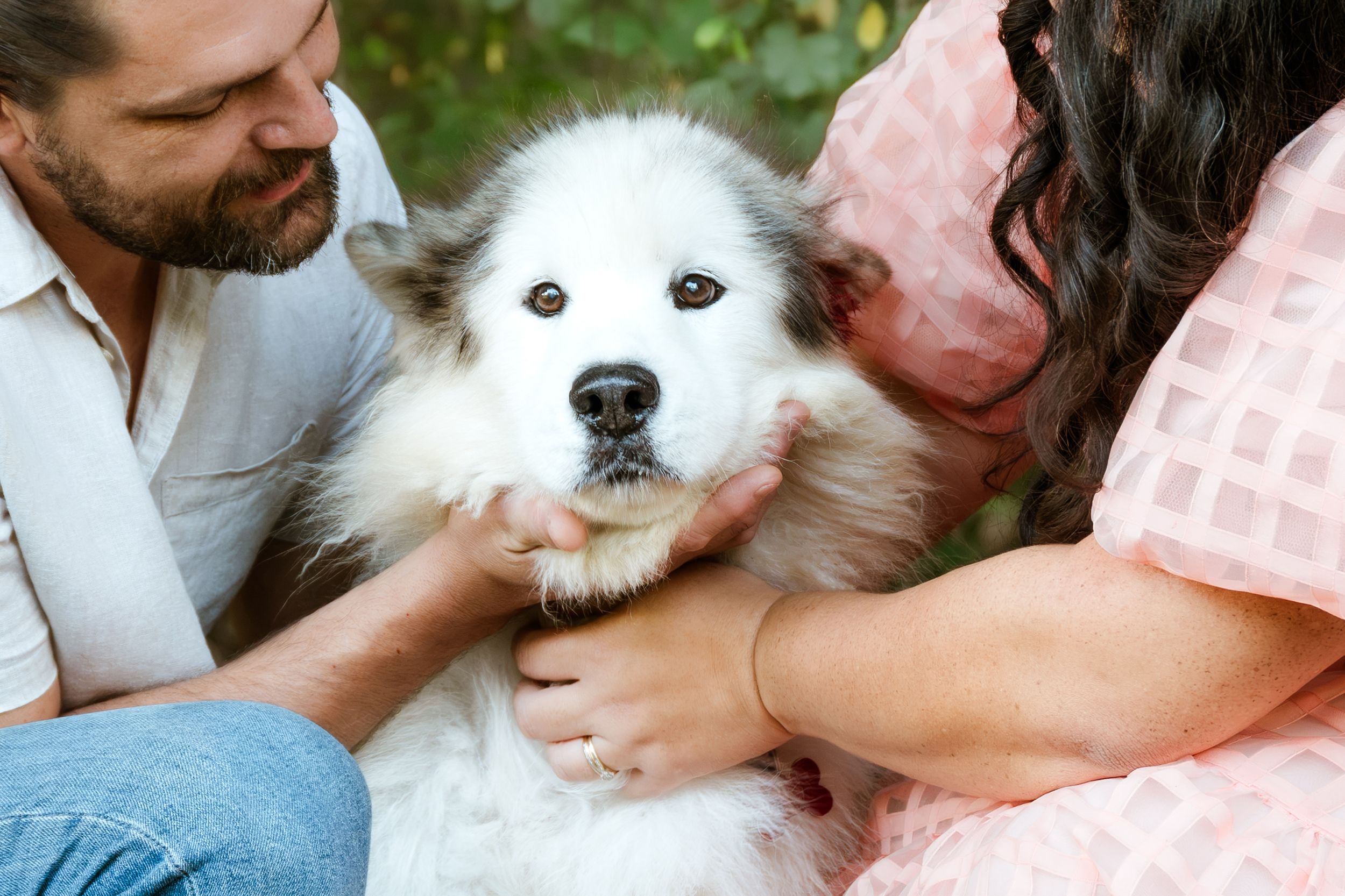 Couple sitting outdoors petting a fluffy white Great Pyrenees dog together in a green natural setting.