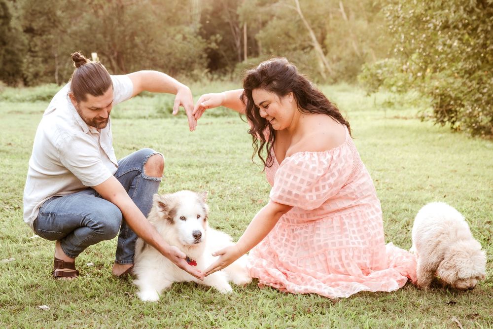 Couple sitting on grass with two dogs during outdoor photo session in a lush green park setting.