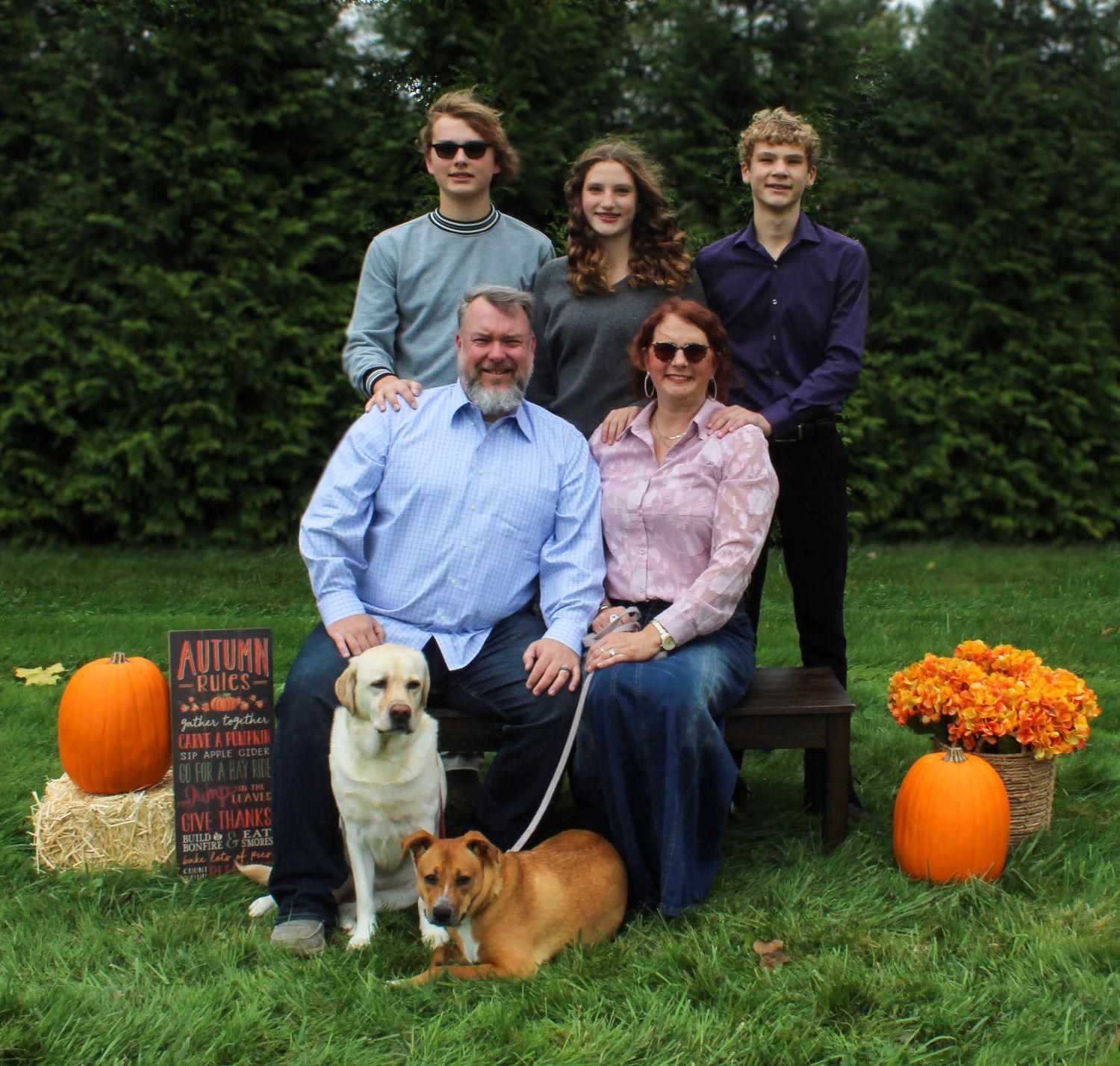 Fall family portrait with two dogs, pumpkins, and mums as decorative elements.