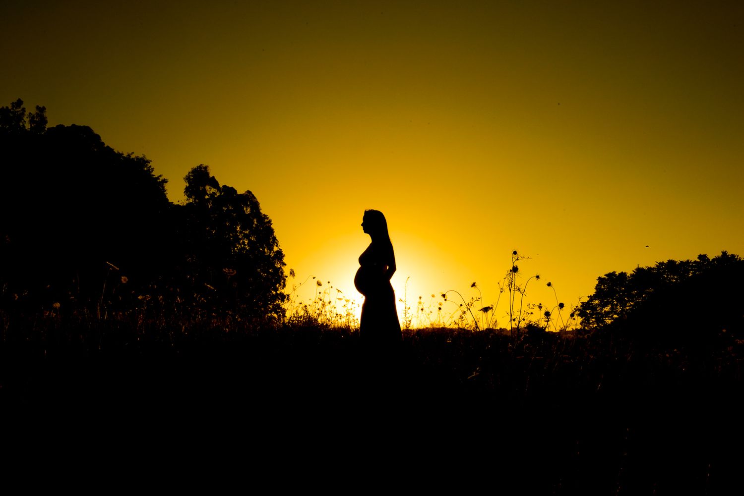 Silhouette of an expectant mother standing against a dramatic golden sunset with trees in the background.