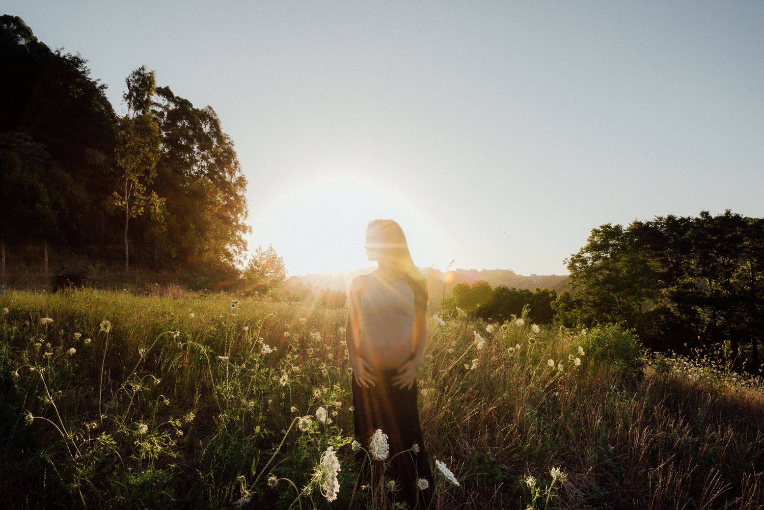 Sunlit wildflower meadow with a silhouette standing in the warm evening light.