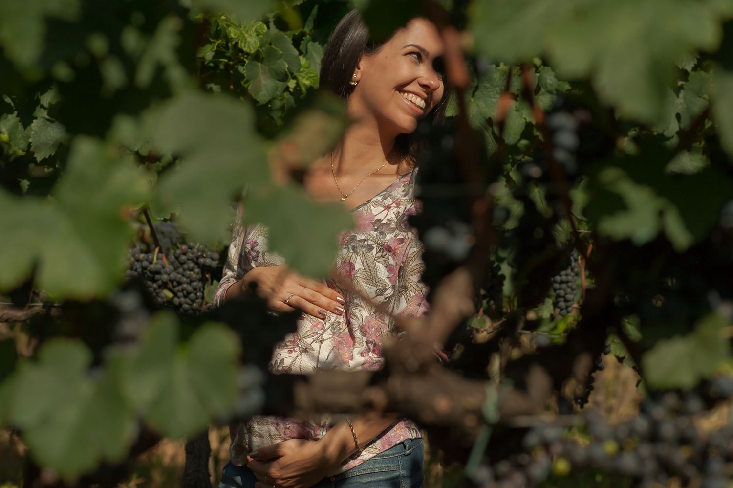 A figure picks grapes in a sunlit vineyard wearing a floral print top.