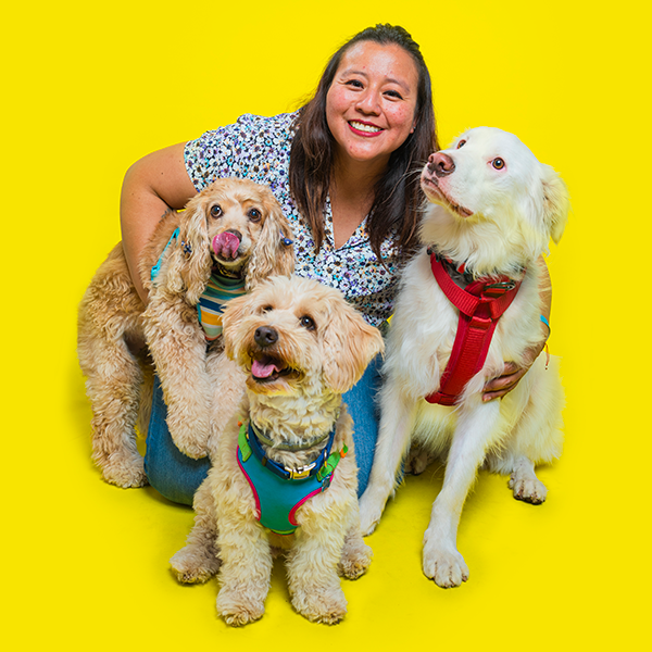 Three happy dogs with bandanas posing against bright yellow background.