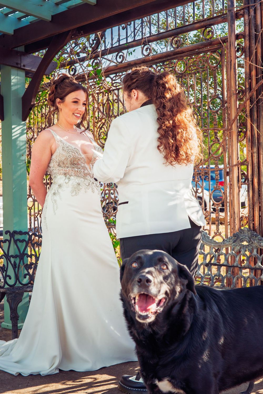 A wedding couple poses with their happy black dog in front of an ornate iron gate.