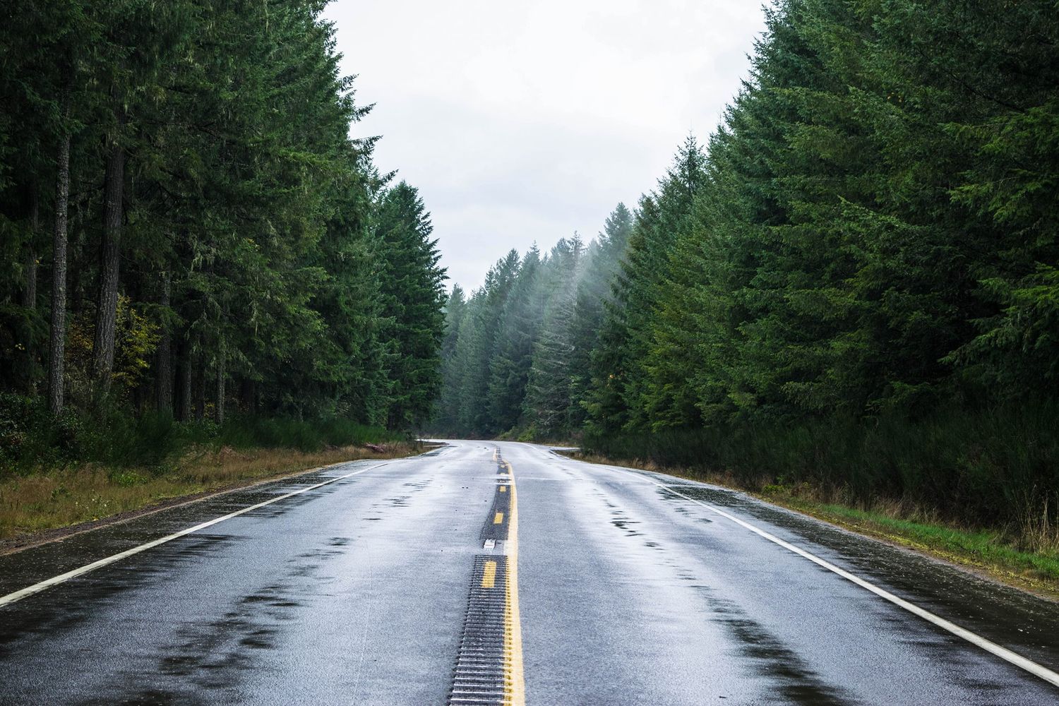 Wet highway road cutting through dense evergreen forest on a rainy Pacific Northwest day.