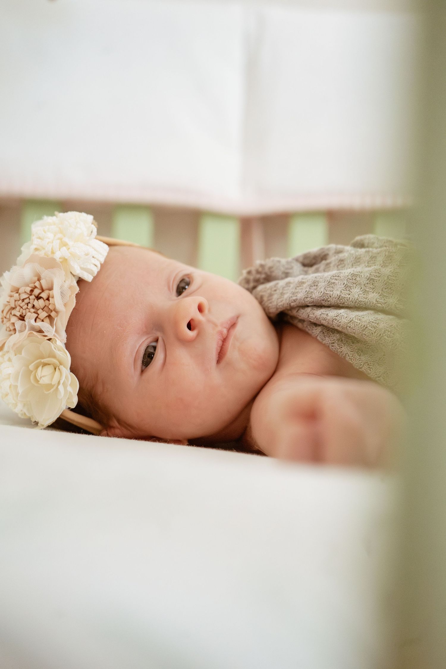 Family Photography