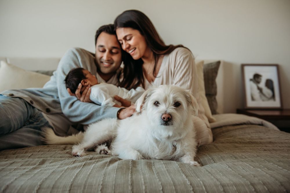 A couple relaxes on a cozy bed with their white fluffy dog as they snuggle together.
