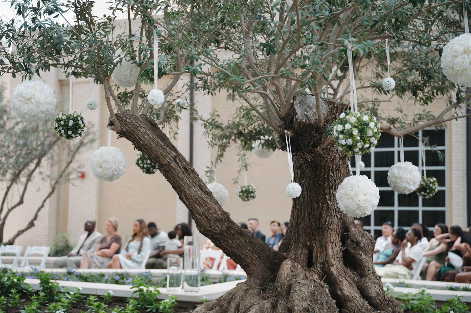 White paper lanterns hang from an olive tree at an outdoor wedding reception with guests dining in the background.