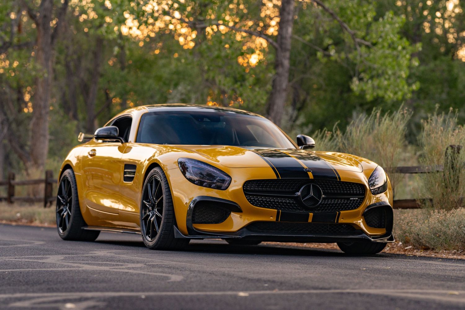 AMG with a natural backdrop