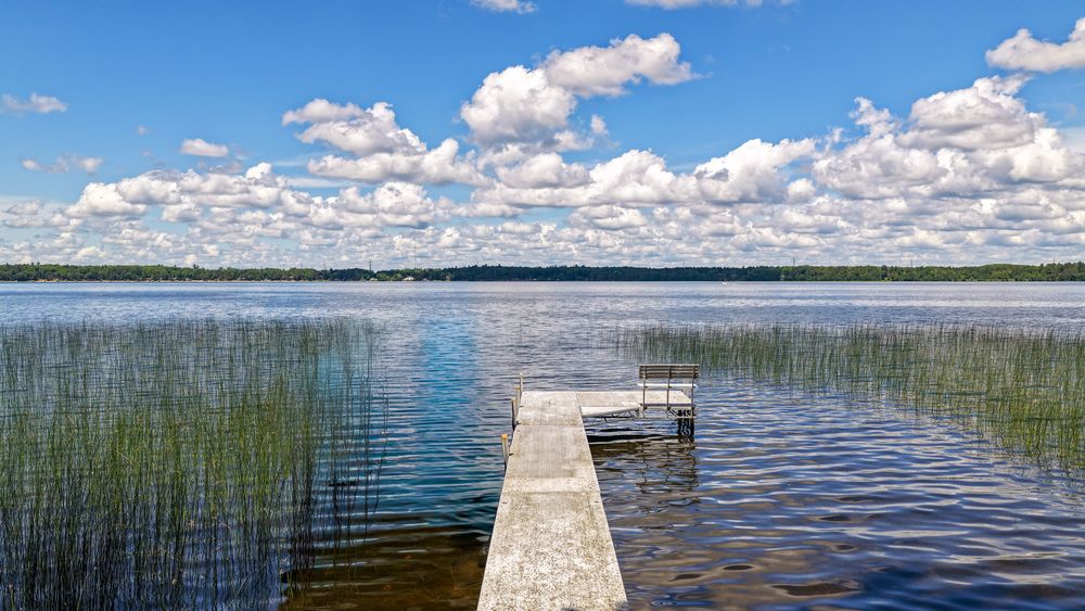 A serene lake dock extends into calm blue waters under a partly cloudy sky, surrounded by reeds and distant tree line.
