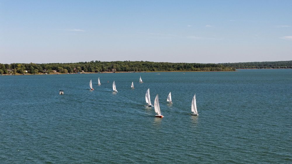 Multiple white sailboats racing on a calm blue lake surrounded by lush green trees under a clear sky.