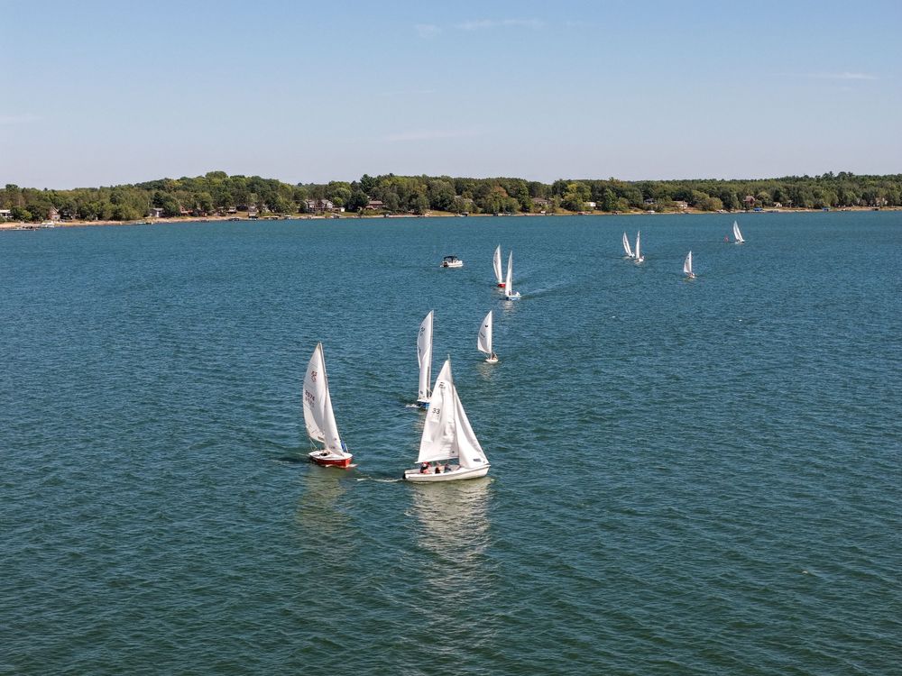 Sailboats gliding across a calm blue lake on a sunny day with lush green trees lining the distant shoreline.