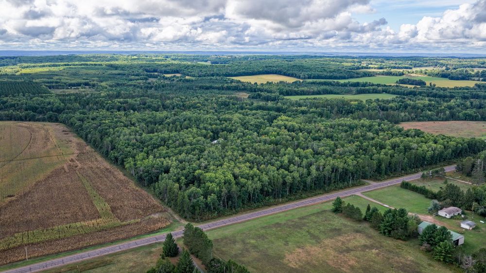 Aerial view of lush green forest and farmland along a rural road under a partly cloudy sky.