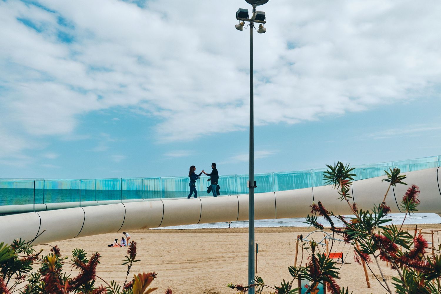 Modern curved walkway with glass barriers along a beach with palm trees and lamp posts.
