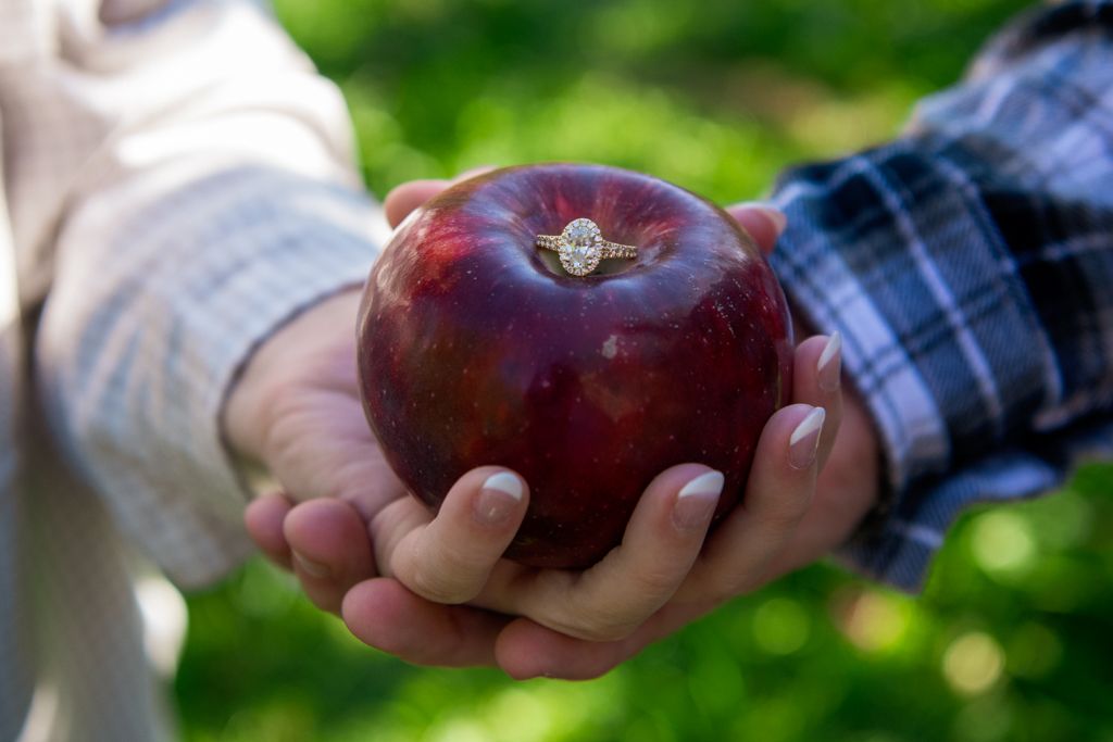 Engagement ring placed on red apple held in couple's hands outdoors.