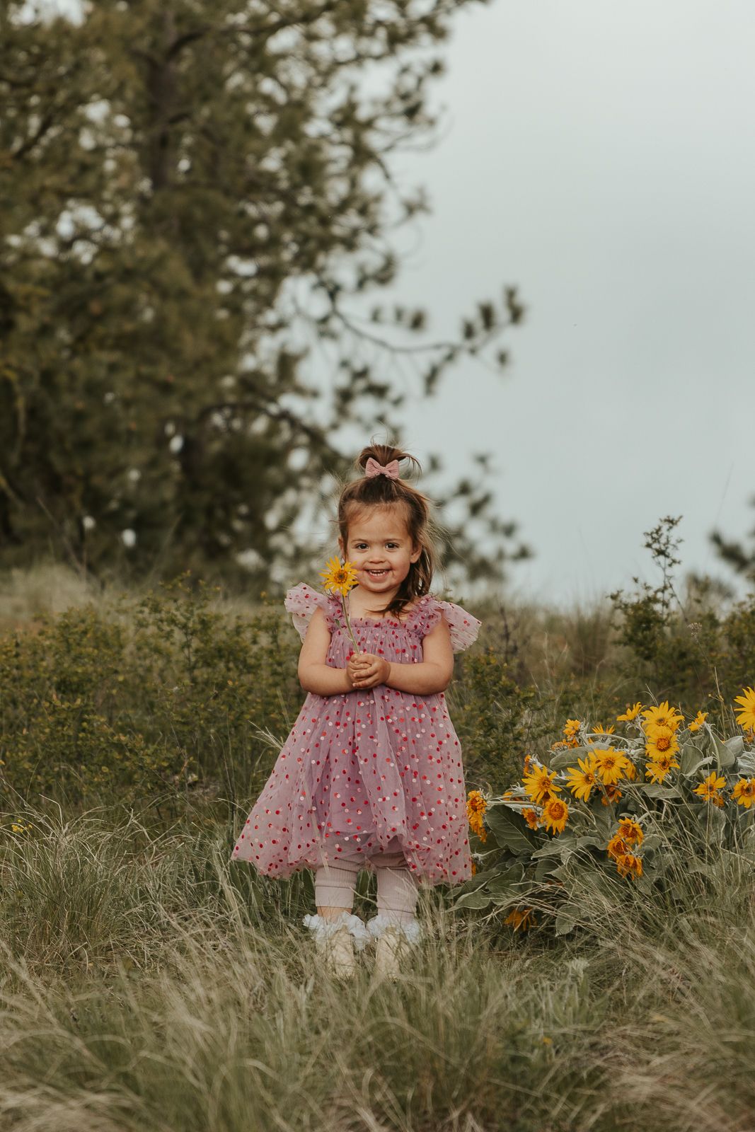Child-discovering-a-flower-in-a-Spokane-garden-during-a-photo-session
