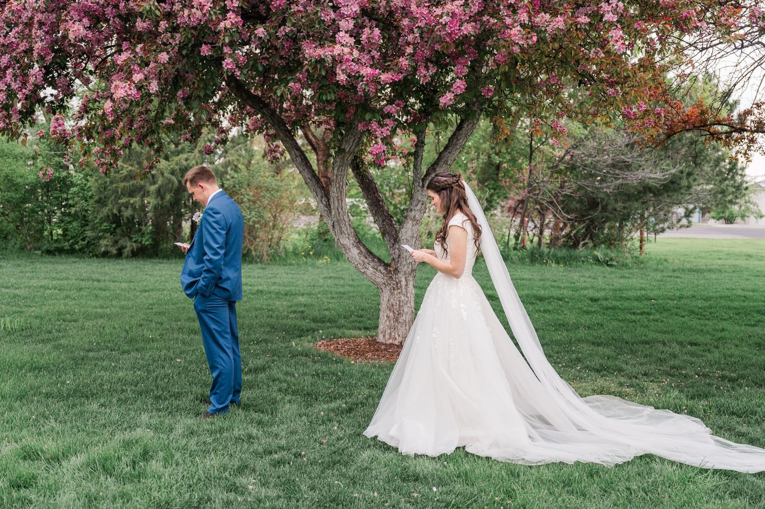 White wedding dress and blue suit stand in springtime garden with blooming pink trees.