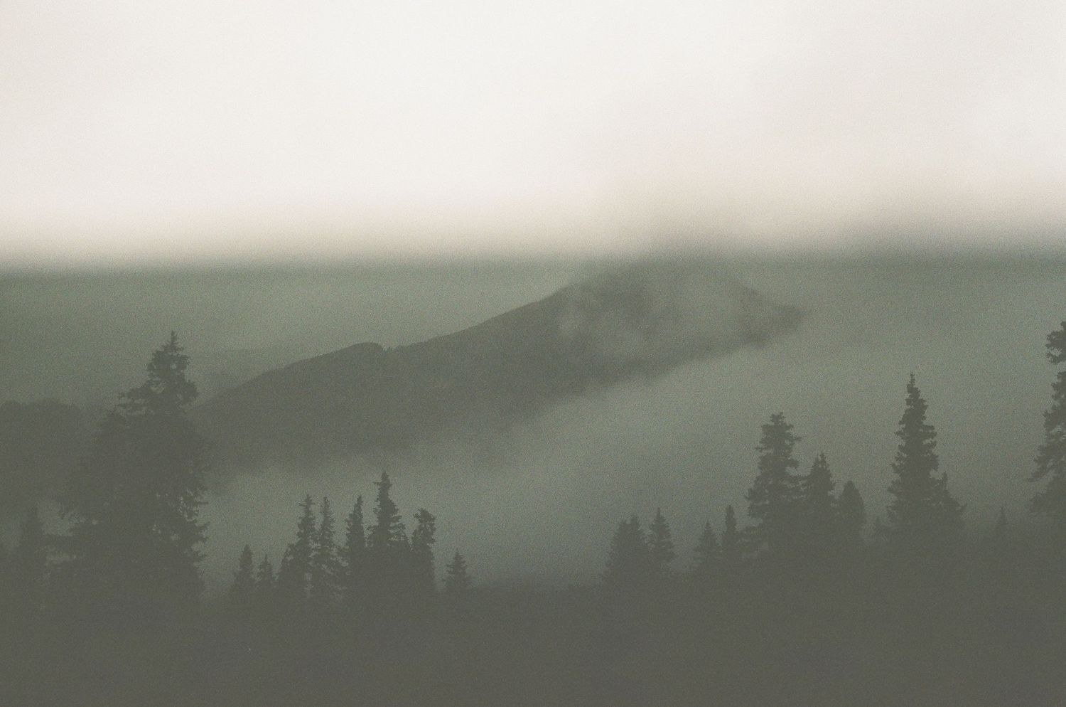 Personal photo I captured in Banff of a mountain covered by thick fog