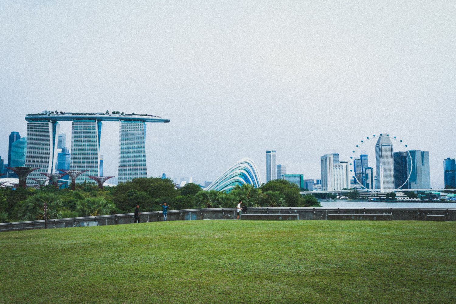 Singapore skyline featuring Marina Bay Sands hotel and Gardens by the Bay viewed from green park.