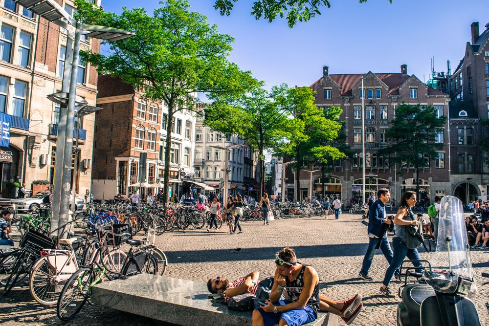 Lively Amsterdam street scene with bicycles parked and people relaxing in an urban square.