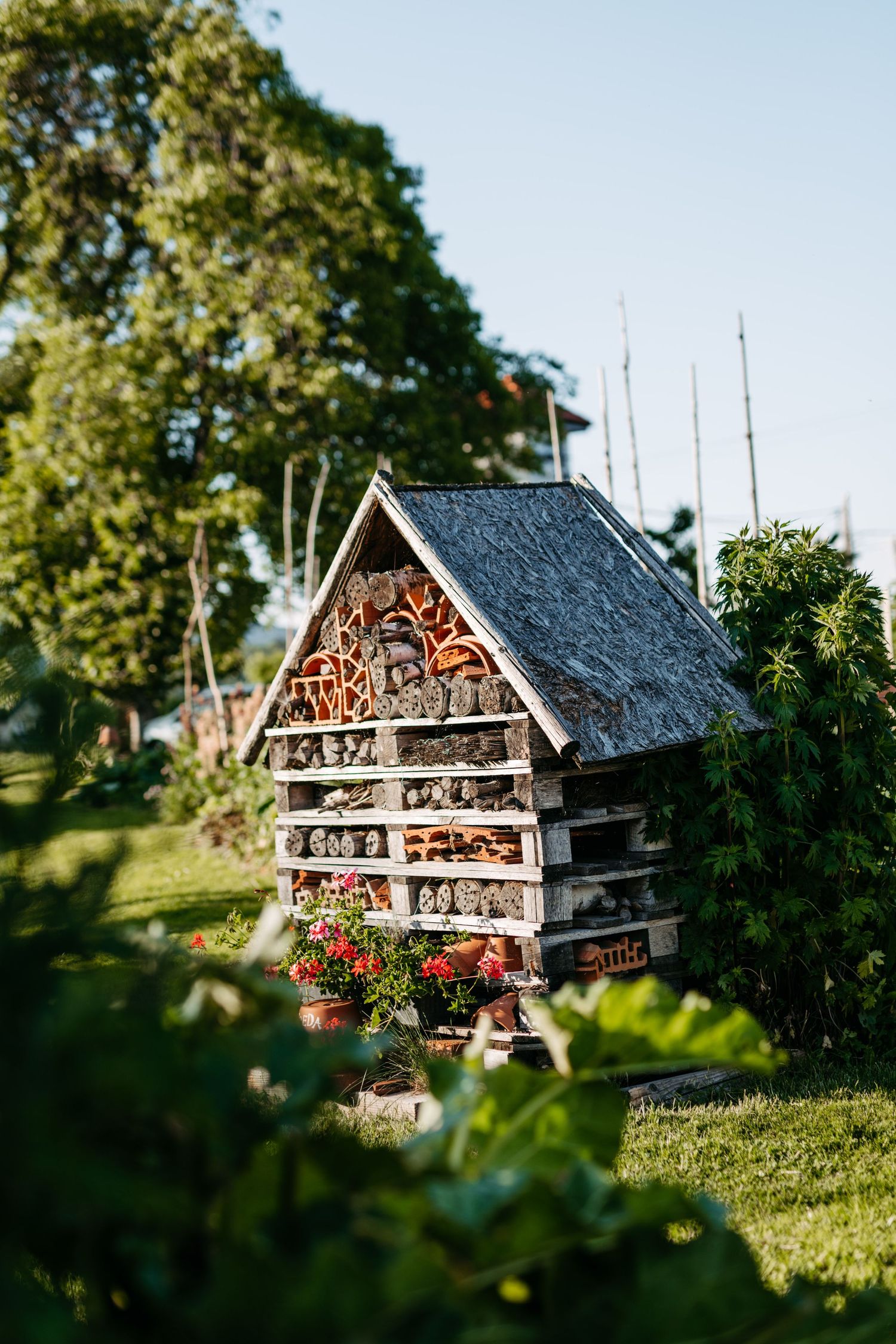 Charming wooden insect hotel with thatched roof nestled in a garden with red flowers.